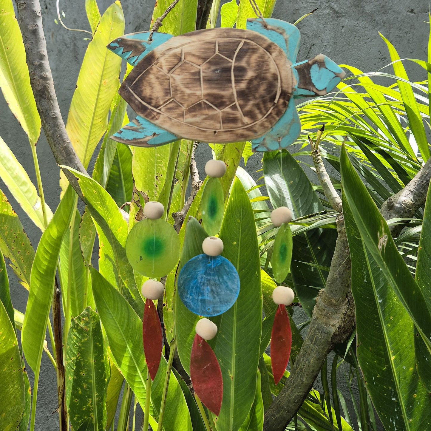 Tortue sculptée en Aqua et Drop