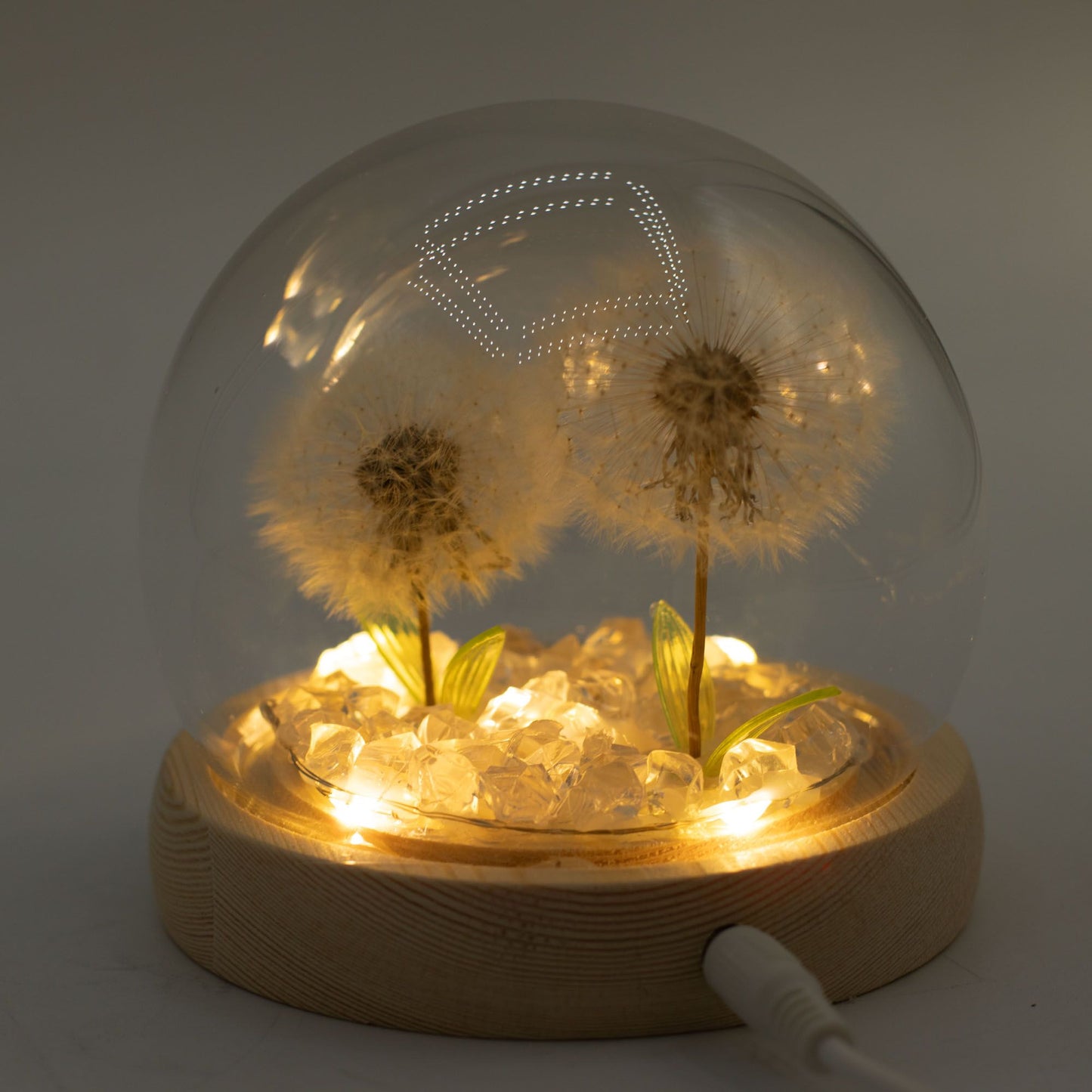 Gartenkuppel Floral Glow - 2 Löwenzähne - USB-LED