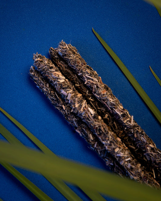 5 Éléments Eau - Renaissance