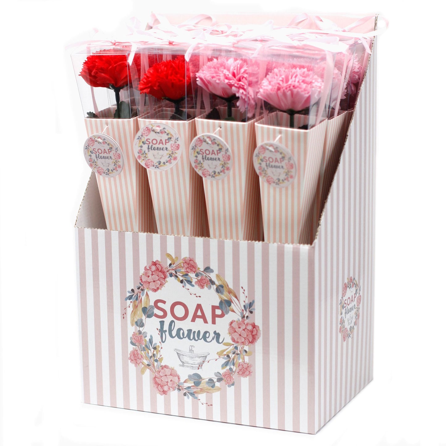 Fleurs de savon - Œillet moyen