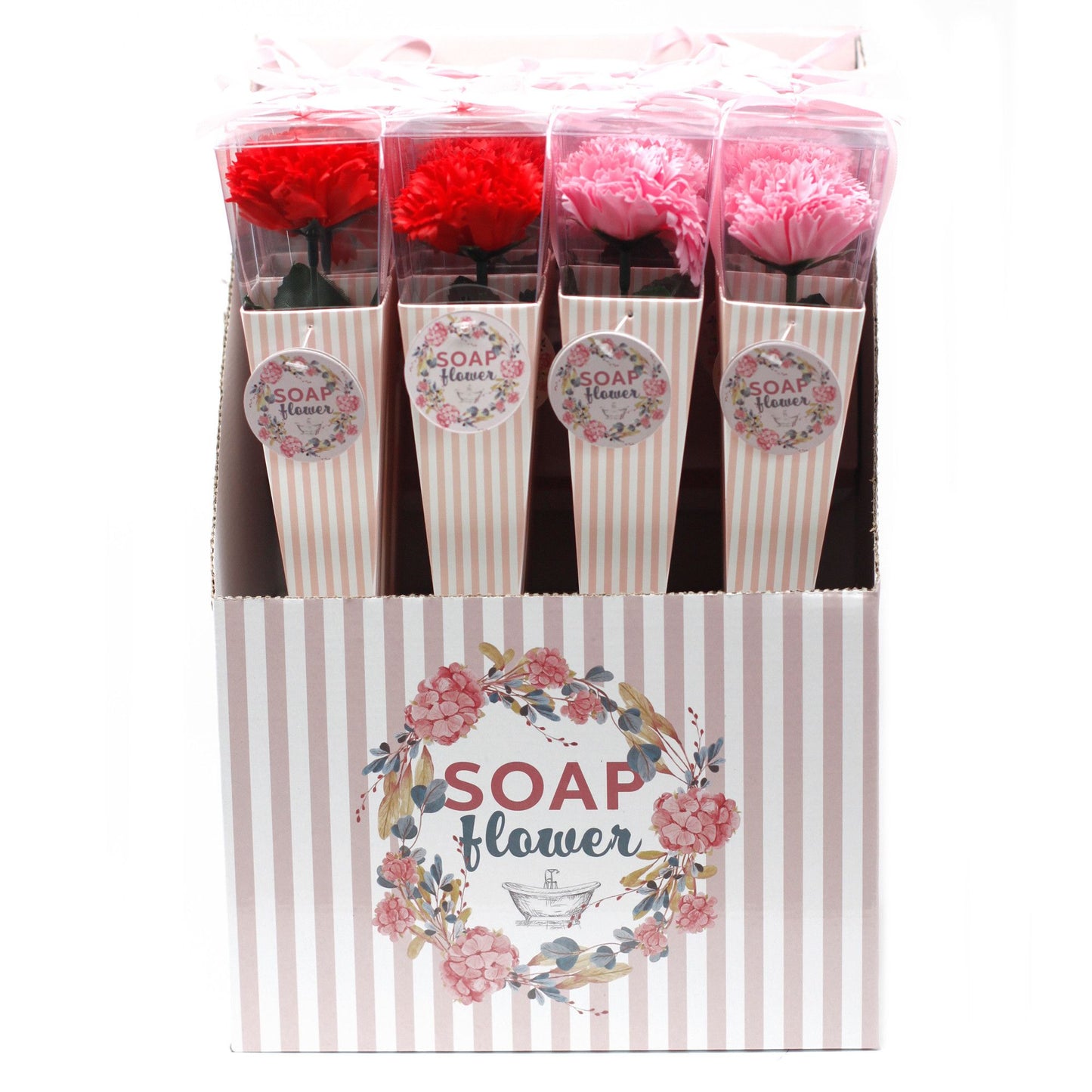 Fleurs de savon - Œillet moyen