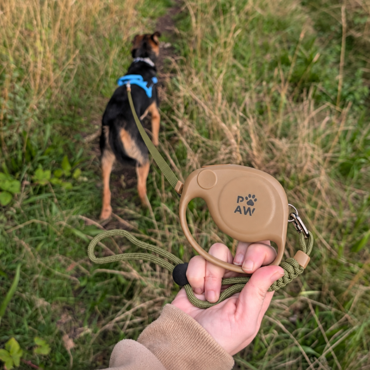 Paw Pet Leash - Correa de elefante - Marrón - 2 m