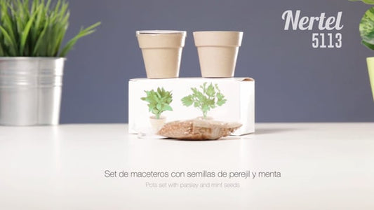 Set Macetas (lote de 50)