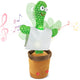 CACTUS BAILARIN 