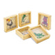 Set 5 laberintos madera animales