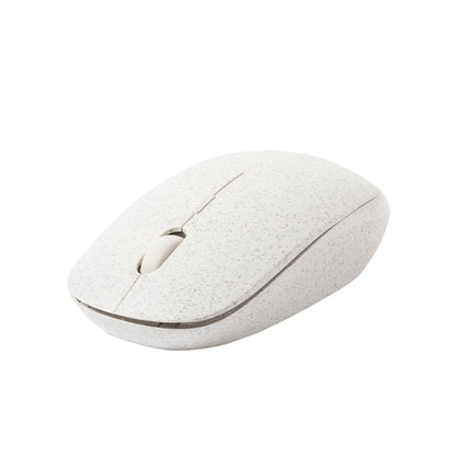 Ratón (lote de 100)