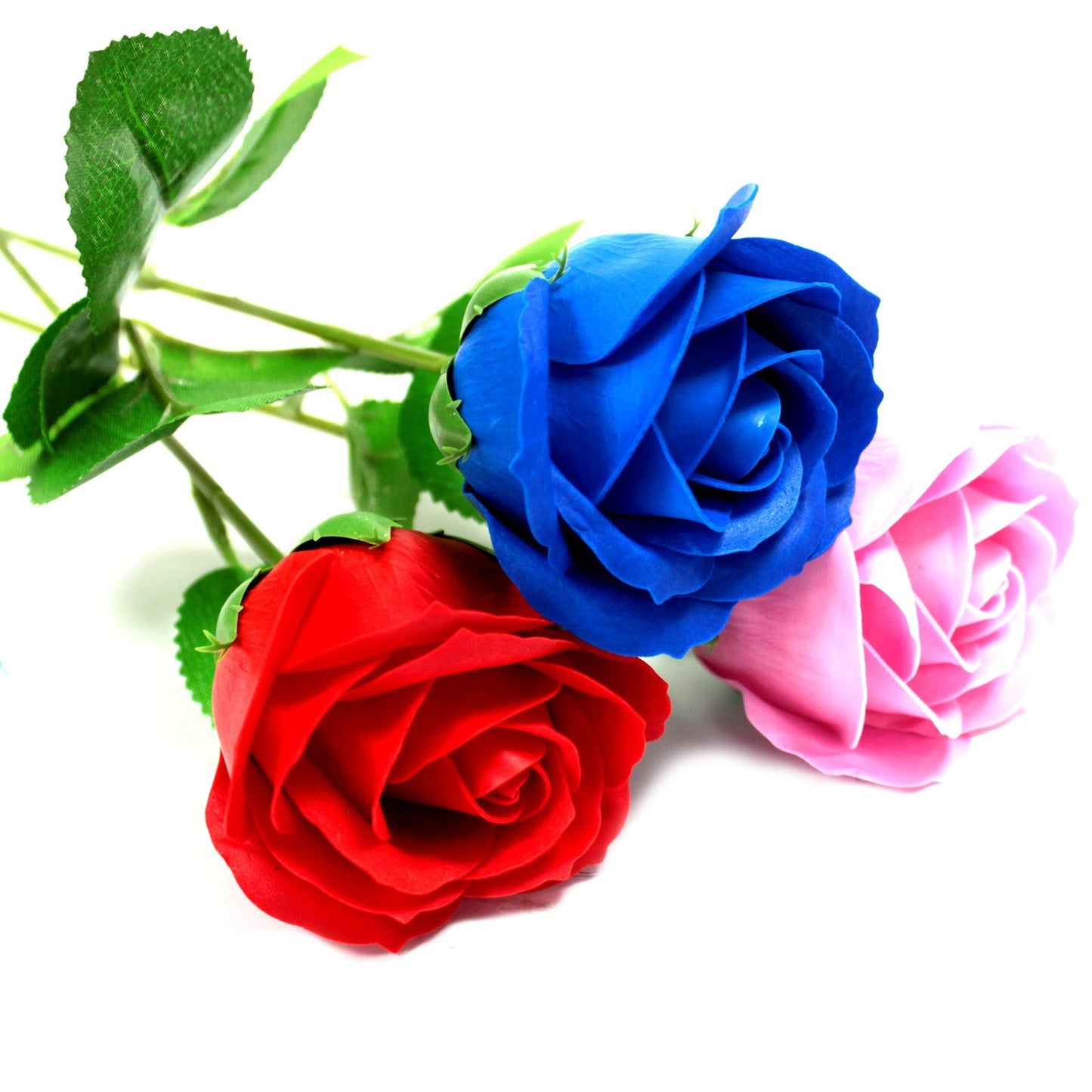 Einzelne Rose - rote Rose