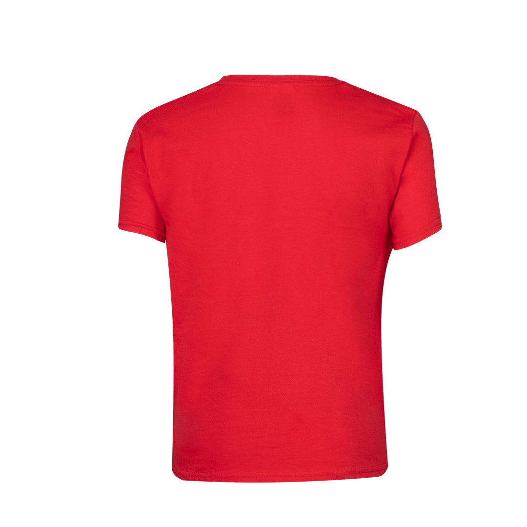 Camiseta Niño Color (lote de 72)