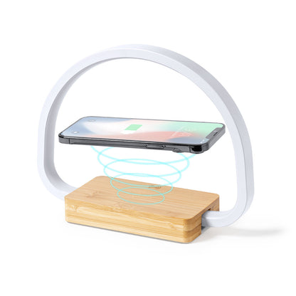 Lampe chargeur (lot de 20)