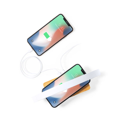 Lampe chargeur (lot de 20)