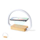 Lampe chargeur (lot de 20)