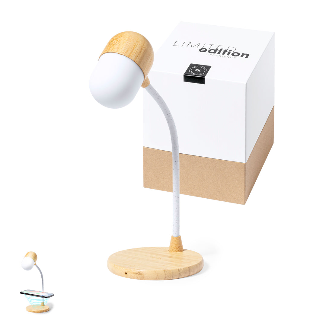 Lampe multifonction (lot de 20)