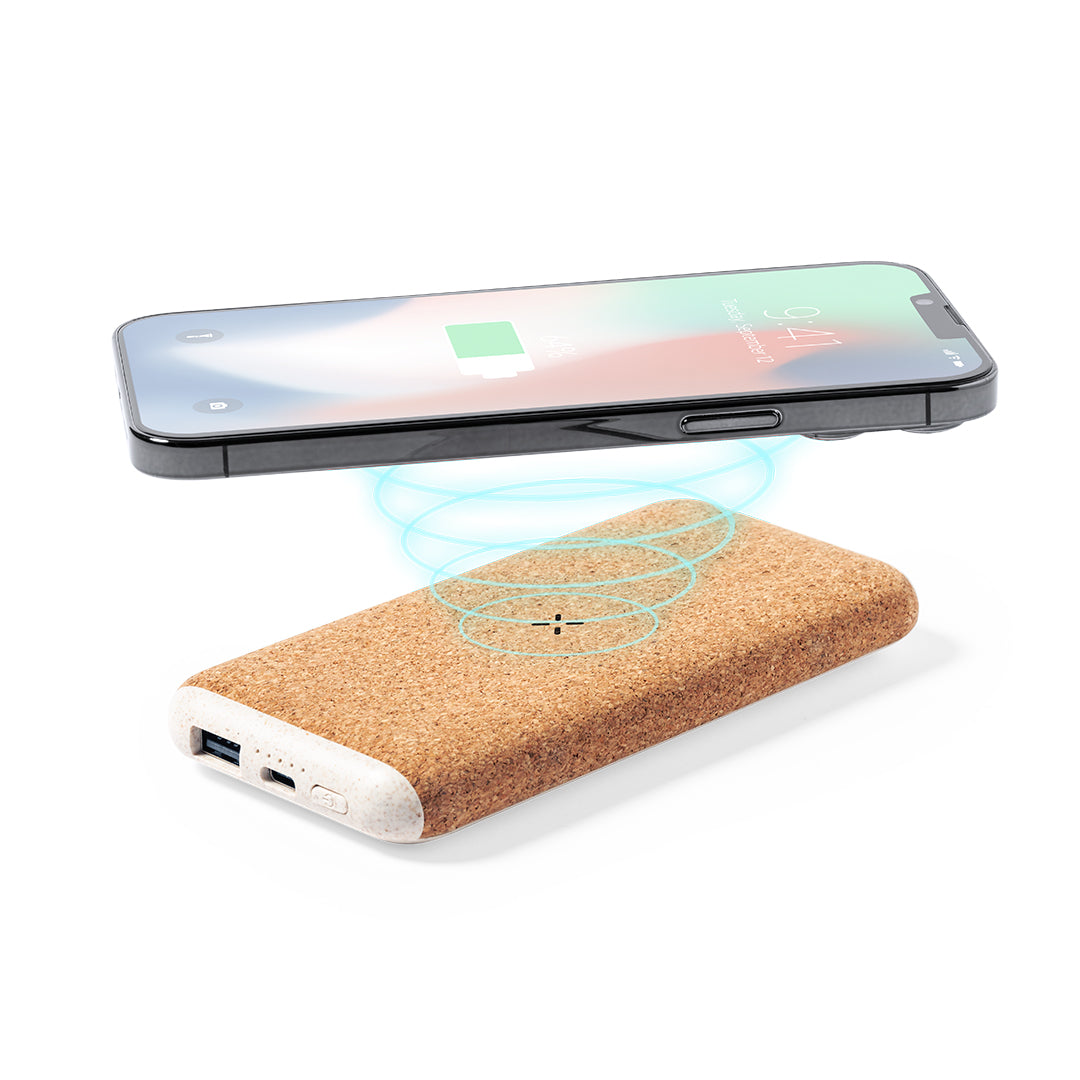 Power Bank (lot de 20)