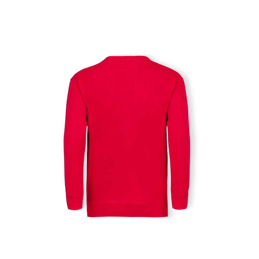 Sudadera Niño (lote de 36)