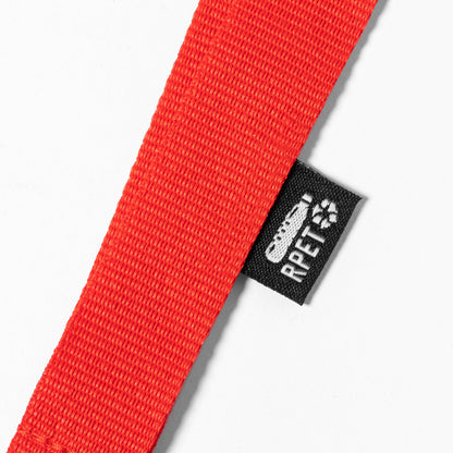 Cordon tour de cou (lot de 10)