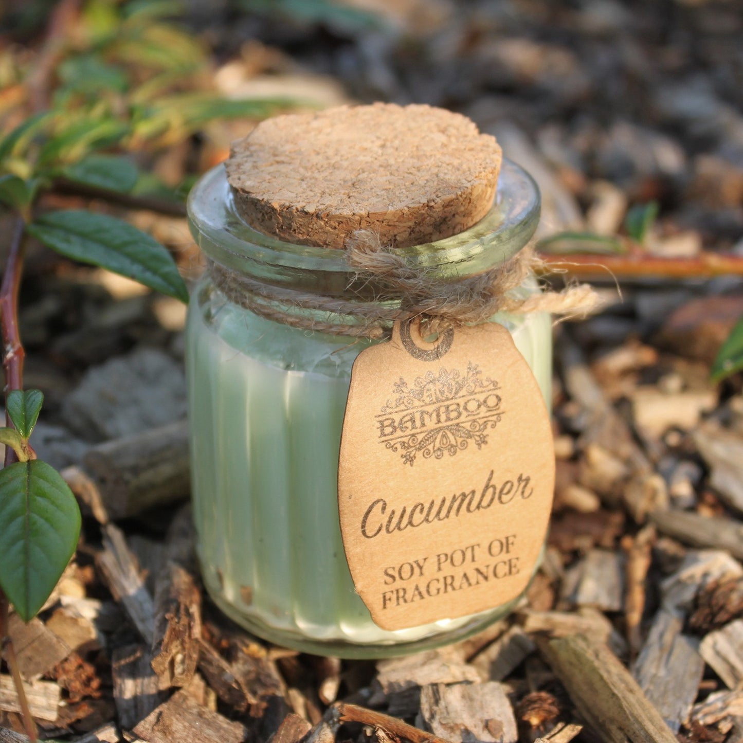 Sojawachskerze im Glas - Gurke