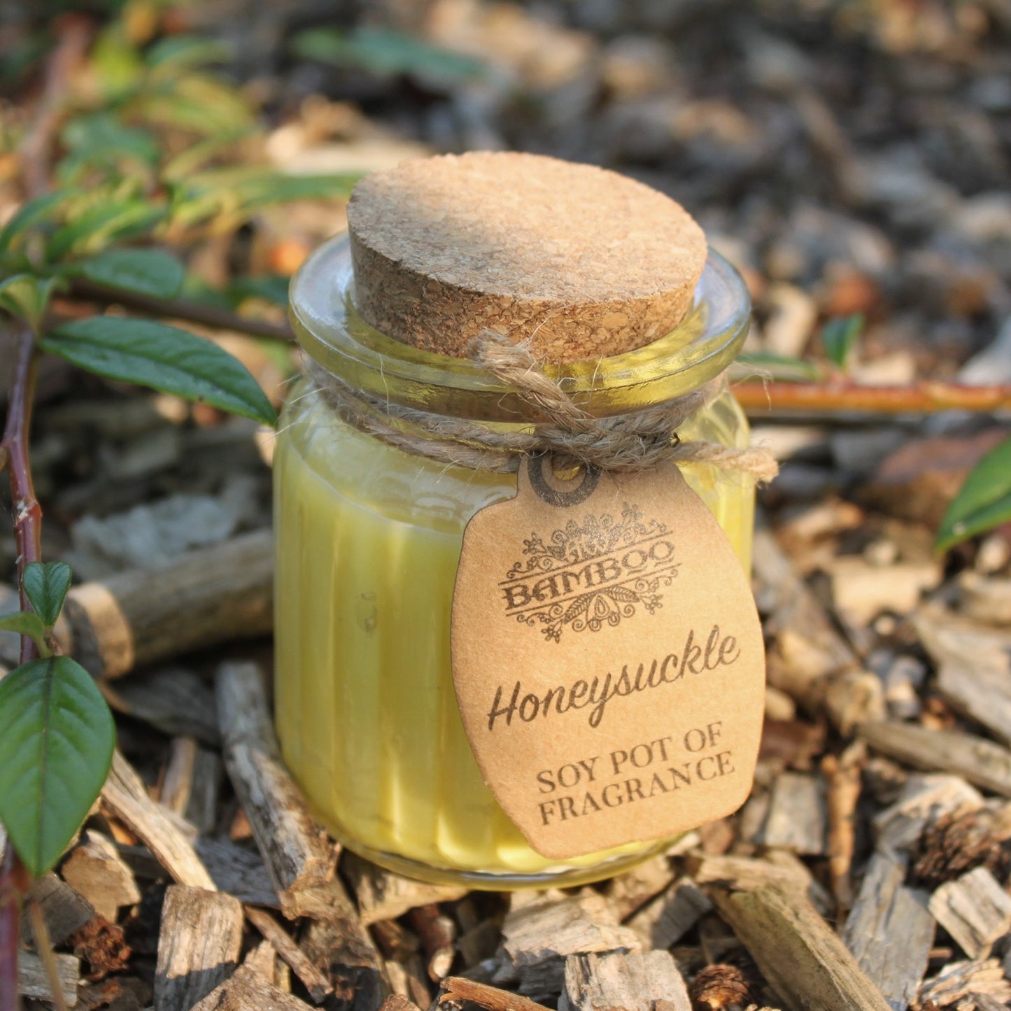 Sojawachskerze im Glas - Geißblatt