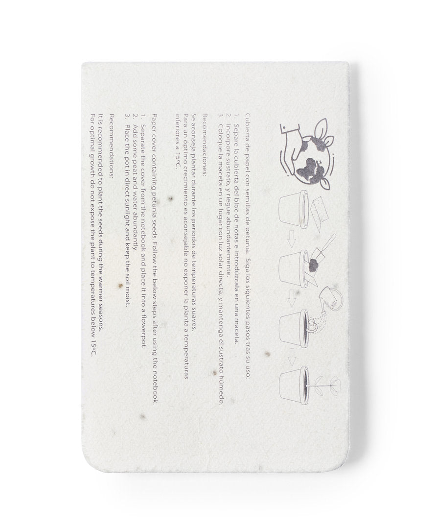 Blocs-notes Graines (lot de 100)