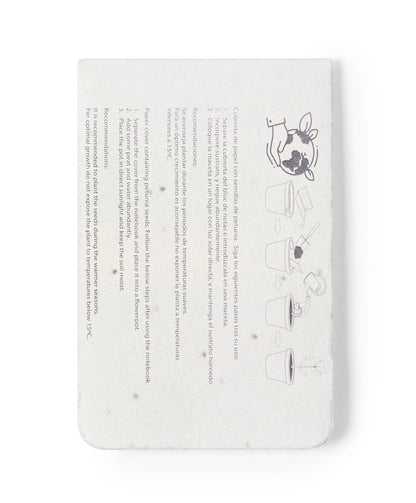 Blocs-notes Graines (lot de 100)