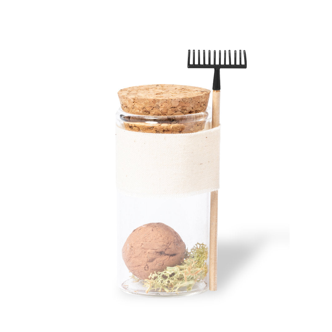 Praline-Samen (50er-Pack)
