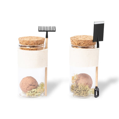 Praline-Samen (50er-Pack)