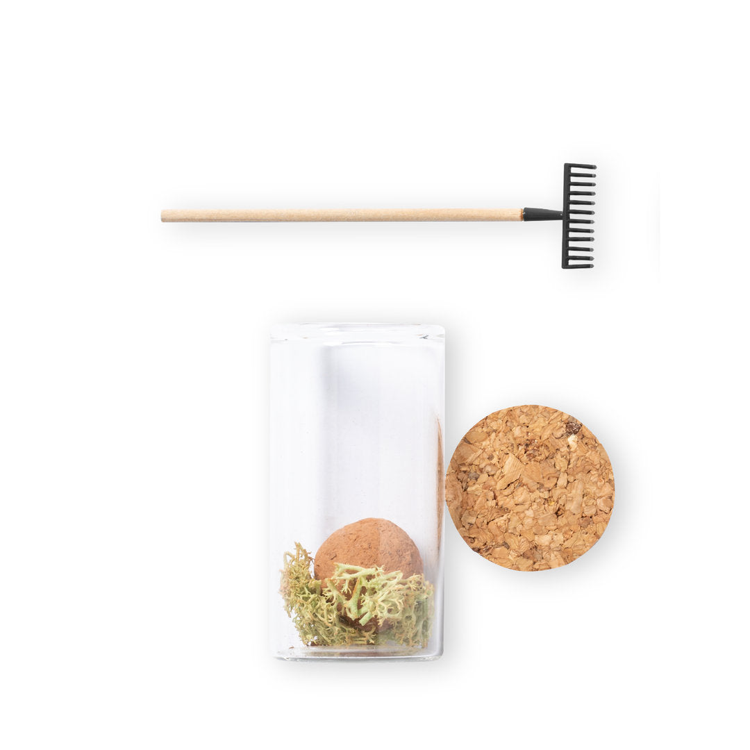 Praline-Samen (50er-Pack)
