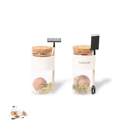 Praline-Samen (50er-Pack)