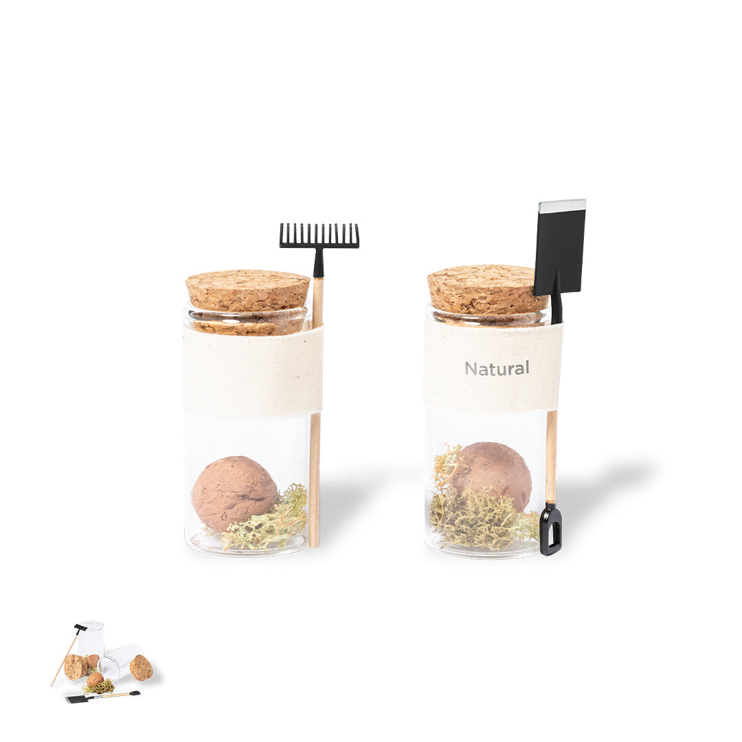 Praline-Samen (50er-Pack)