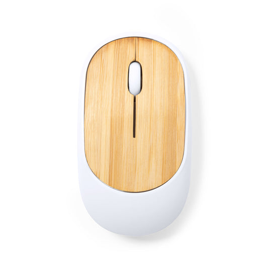 Souris (lot de 100)