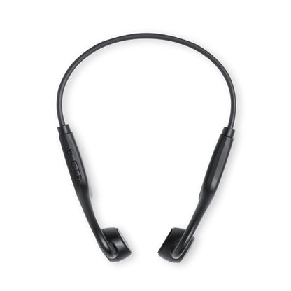 Auriculares (lote de 50)