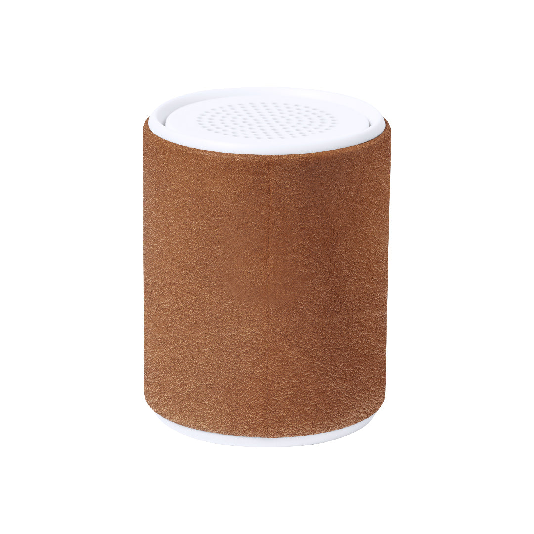 Altavoz (lote de 50)
