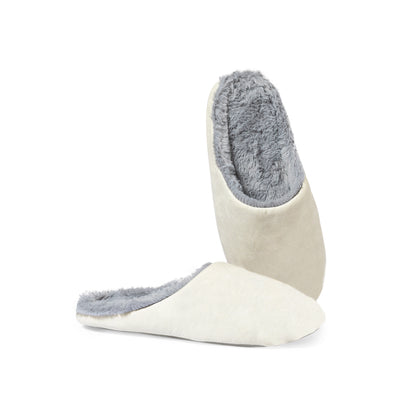 Zapatillas (lote de 50)