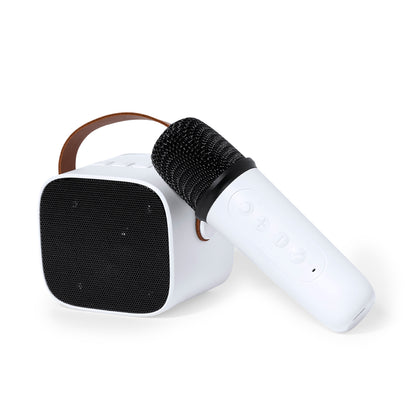 Altavoz Karaoke (lote de 20)