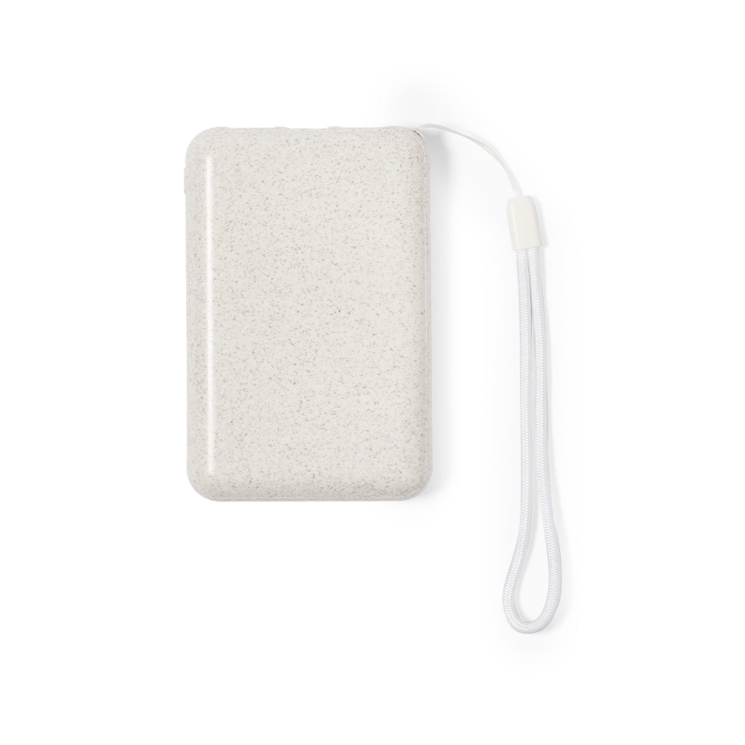 Power Bank (lote de 10)