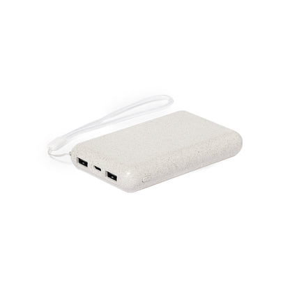 Power Bank (lote de 10)