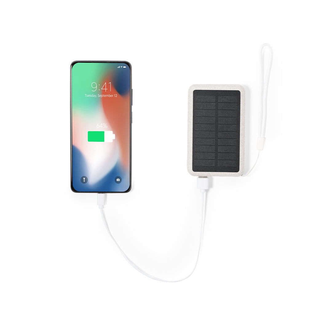 Power Bank (lote de 10)