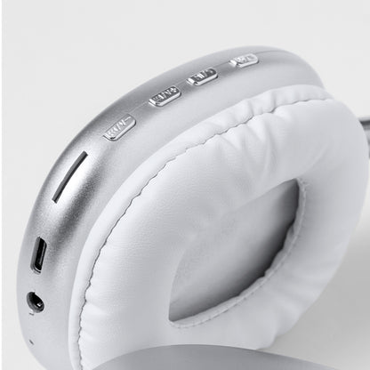 Auriculares (lote de 20)