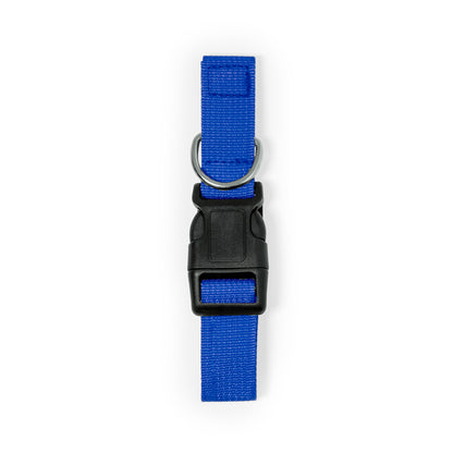 Collar (lote de 100)