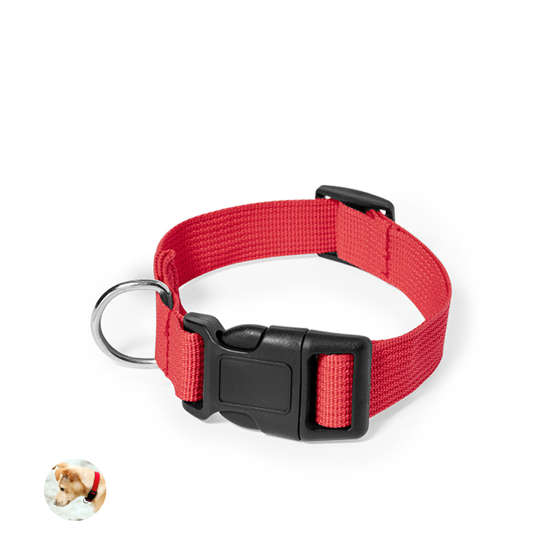 Collar (lote de 100)