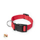 Collar (lote de 100)