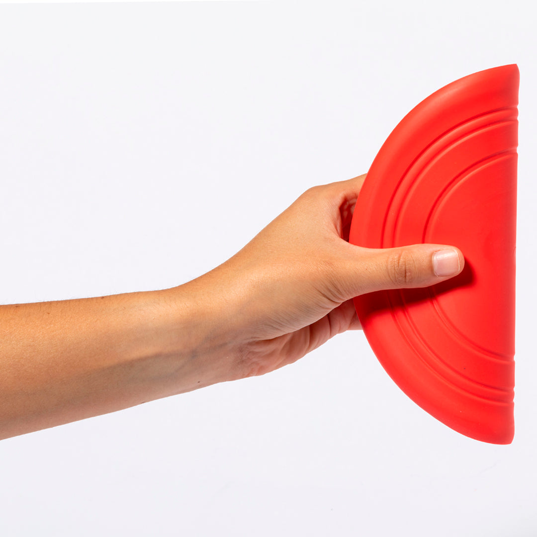 Frisbee (lote de 100)