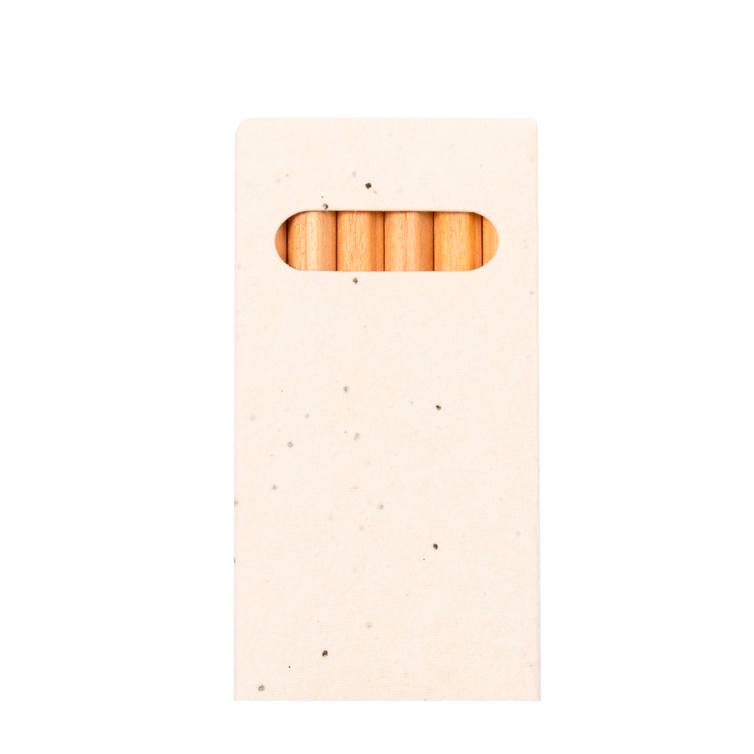 Caja Lápices Semillas (lote de 25)