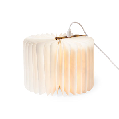 Lampe (50er-Set)