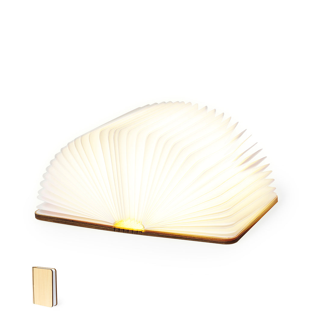 Lampe (50er-Set)