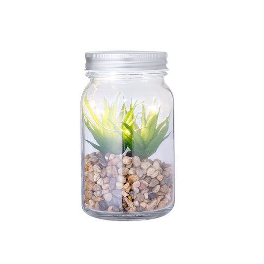 Zierpflanze (15er-Pack)