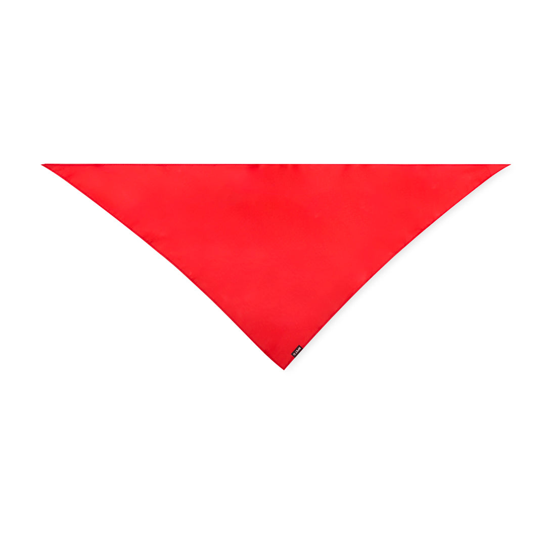 Pañoleta (lote de 10)