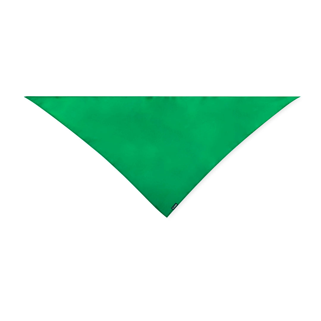 Pañoleta (lote de 10)