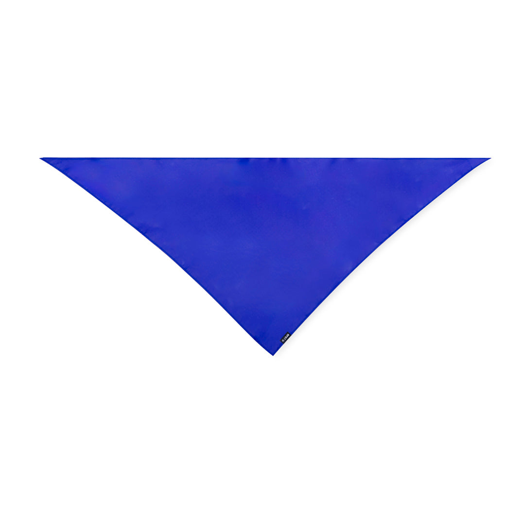 Pañoleta (lote de 10)