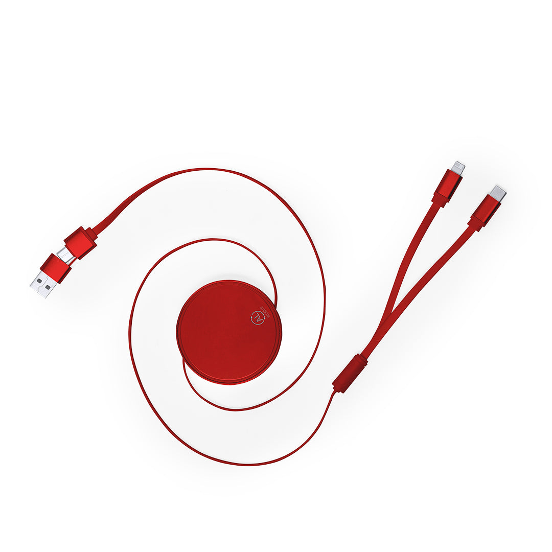Câble chargeur (lot de 100)