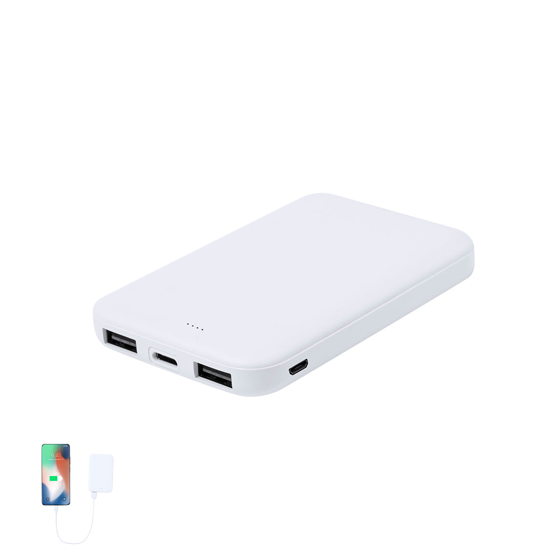 Powerbank (25er Pack)